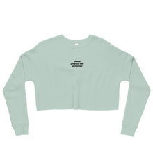 Load image into Gallery viewer, Progress &gt; Perfection &#39;Embroidered&#39; Crop Sweater
